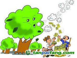 深度解析國有林場開發(fā)森林經(jīng)營碳匯前景分析及有哪些相關問題的對策匯總
