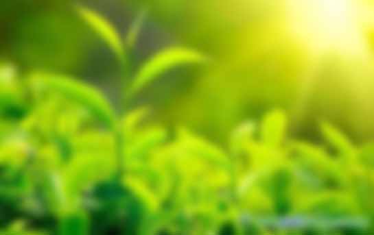 專家視角丨周誠君：構建綠色債券的可持續(xù)生態(tài)系統