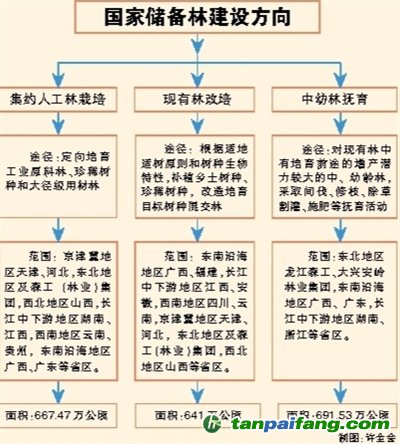 國家儲備林，儲備我們的未來