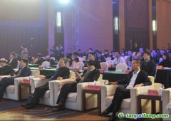 2019中國綠色城市指數(shù)TOP50發(fā)布，哪些城市是綠色標(biāo)桿？