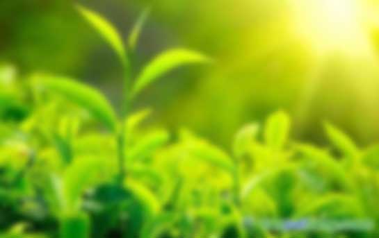 環(huán)境、社會及管治(ESG)培訓課程招生簡章官網最新信息發(fā)布