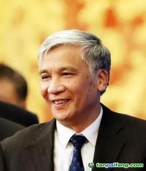 全國(guó)人大常委會(huì)副委員長(zhǎng)丁仲禮：中國(guó)碳中和，可這樣“四步走”！