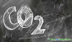 2023年碳排放權(quán)交易·碳資產(chǎn)管理、核查核算培訓(xùn)課程考試最新時(shí)間安排——官網(wǎng)正式發(fā)布