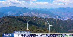 我國(guó)碳達(dá)峰、碳中和政策和行動(dòng)保障體系已基本形成