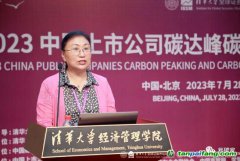 無限夸大碳匯收益 誤導市場走向！碳匯交易呈現(xiàn)出“劣幣驅(qū)除良幣”的態(tài)勢