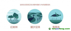 183元/噸！碳匯爆發(fā)，CCER市場價格的風向標？
