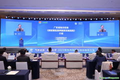 在廣東，碳配額抵質(zhì)押融資有了地方標(biāo)準(zhǔn)