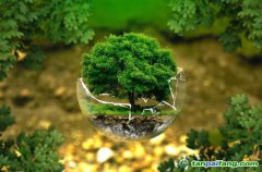 控排企業(yè)碳資產(chǎn)管理代運(yùn)營(yíng)：配額籌劃、合規(guī)化改造等數(shù)據(jù)優(yōu)化、碳交易金融化思維