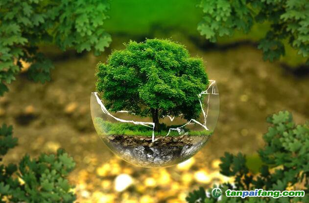 控排企業(yè)碳資產(chǎn)管理代運(yùn)營(yíng)：配額籌劃、合規(guī)化改造等數(shù)據(jù)優(yōu)化、碳交易金融化思維