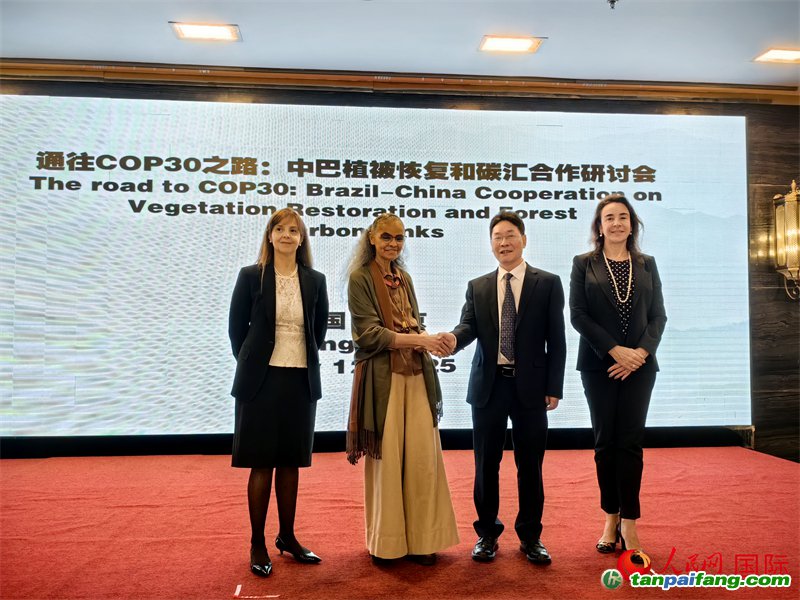 中國國家林業(yè)和草原局副局長李云卿（右二）、巴西環(huán)境和氣候變化部部長瑪麗娜·席爾瓦（左二）、巴西財政部副部長羅熙丹（右一）、巴西駐華大使館公參樂美（左一）出席“通往COP30之路：中巴植樹造林和碳匯合作研討活動”。人民網(wǎng)記者 符園園攝