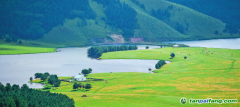 內(nèi)蒙古做實造林碳匯