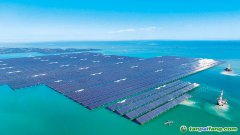 以“雙碳”牽引綠色轉(zhuǎn)型 筑牢美麗中國建設(shè)根基